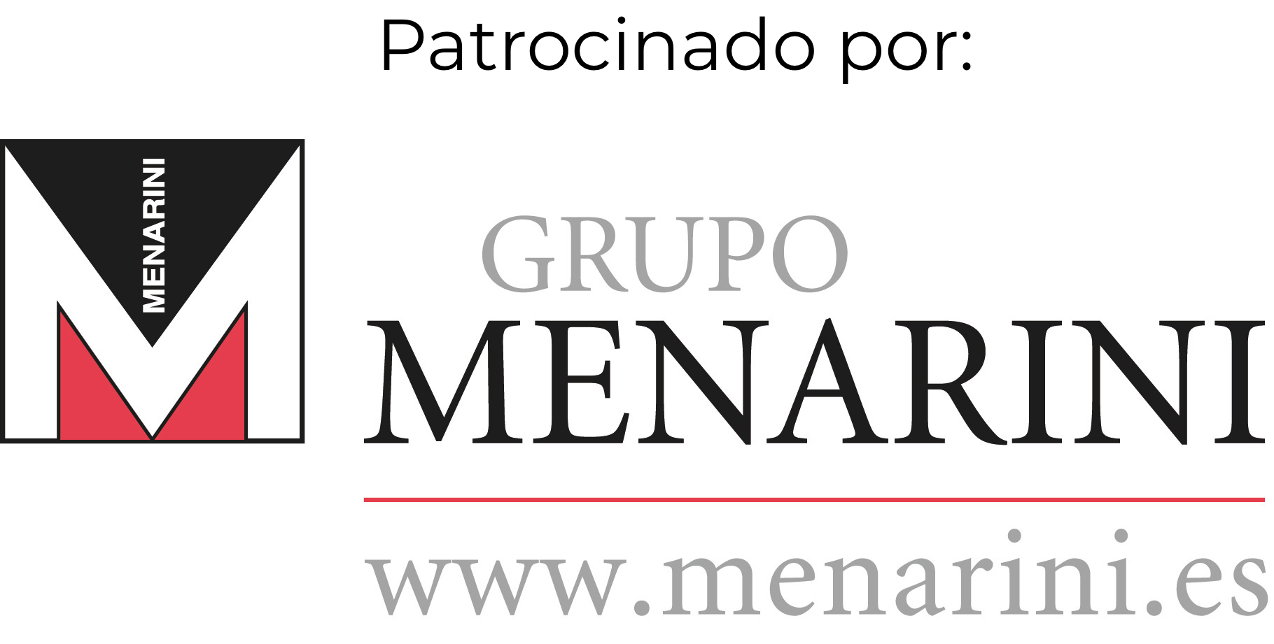 logo MENARINI